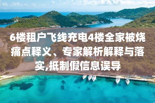 6樓租戶飛線充電4樓全家被燒痛點(diǎn)釋義、專家解析解釋與落實(shí),抵制假信息誤導(dǎo)