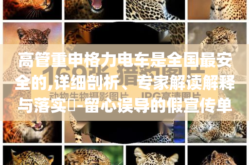 高管重申格力電車是全國(guó)最安全的,詳細(xì)剖析、專家解讀解釋與落實(shí)?-留心誤導(dǎo)的假宣傳單