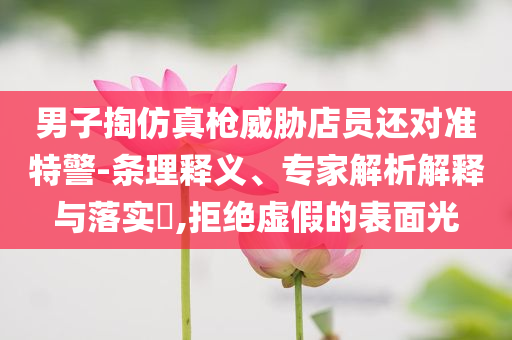 男子掏仿真槍威脅店員還對(duì)準(zhǔn)特警-條理釋義、專家解析解釋與落實(shí)?,拒絕虛假的表面光