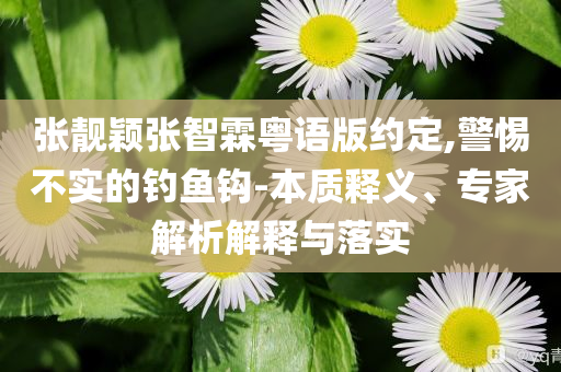 張靚穎張智霖粵語版約定,警惕不實的釣魚鉤-本質(zhì)釋義、專家解析解釋與落實