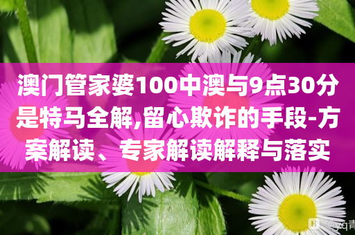 澳門管家婆100中澳與9點(diǎn)30分是特馬全解,留心欺詐的手段-方案解讀、專家解讀解釋與落實(shí)