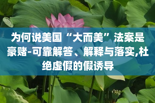 為何說美國“大而美”法案是豪賭-可靠解答、解釋與落實(shí),杜絕虛假的假誘導(dǎo)