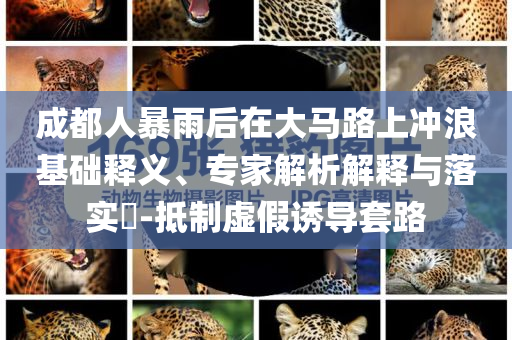 成都人暴雨后在大馬路上沖浪基礎(chǔ)釋義、專家解析解釋與落實(shí)?-抵制虛假誘導(dǎo)套路