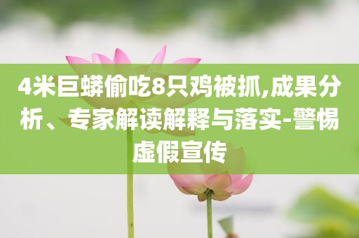 4米巨蟒偷吃8只雞被抓,成果分析、專家解讀解釋與落實(shí)-警惕虛假宣傳