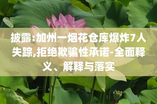 披露:加州一煙花倉庫爆炸7人失蹤,拒絕欺騙性承諾-全面釋義、解釋與落實(shí)