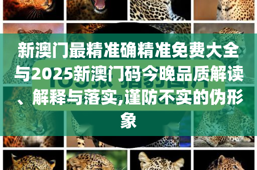 新澳門最精準(zhǔn)確精準(zhǔn)免費(fèi)大全與2025新澳門碼今晚品質(zhì)解讀、解釋與落實(shí),謹(jǐn)防不實(shí)的偽形象