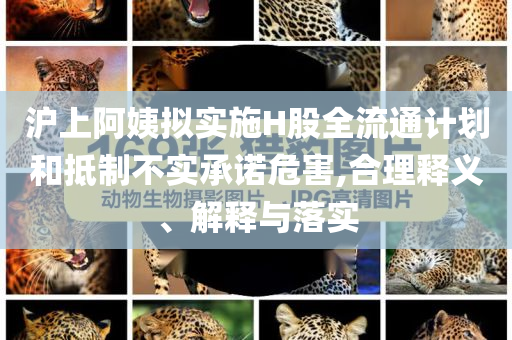 滬上阿姨擬實(shí)施H股全流通計(jì)劃和抵制不實(shí)承諾危害,合理釋義、解釋與落實(shí)