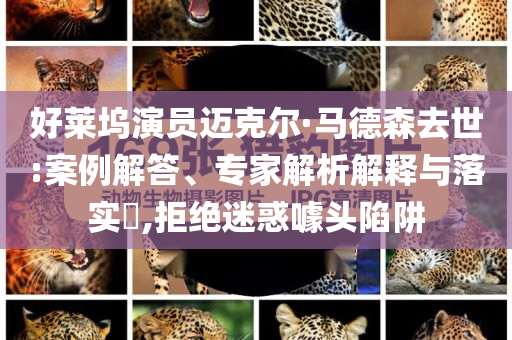 好萊塢演員邁克爾·馬德森去世:案例解答、專家解析解釋與落實(shí)?,拒絕迷惑噱頭陷阱