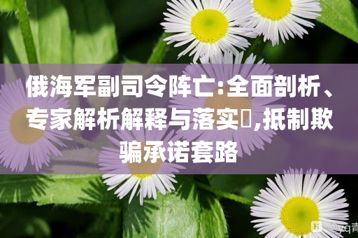 俄海軍副司令陣亡:全面剖析、專家解析解釋與落實(shí)?,抵制欺騙承諾套路