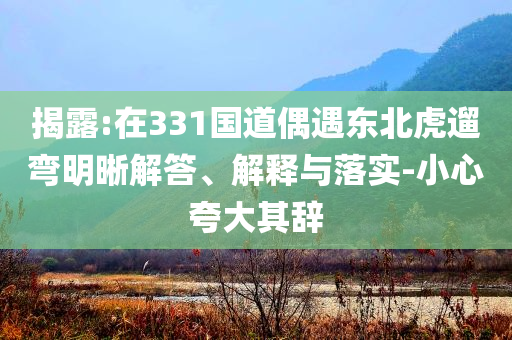 揭露:在331國道偶遇東北虎遛彎明晰解答、解釋與落實-小心夸大其辭