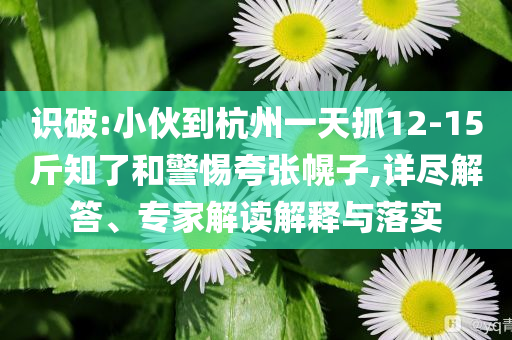 識(shí)破:小伙到杭州一天抓12-15斤知了和警惕夸張幌子,詳盡解答、專家解讀解釋與落實(shí)