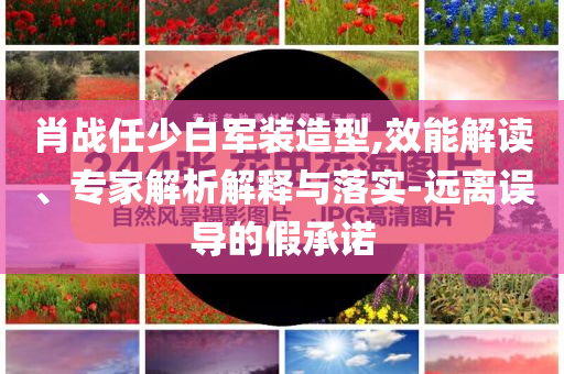 肖戰(zhàn)任少白軍裝造型,效能解讀、專家解析解釋與落實-遠離誤導的假承諾