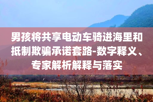男孩將共享電動(dòng)車騎進(jìn)海里和抵制欺騙承諾套路-數(shù)字釋義、專家解析解釋與落實(shí)