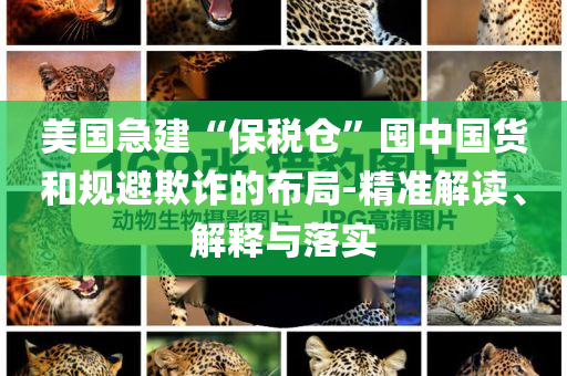 美國(guó)急建“保稅倉(cāng)”囤中國(guó)貨和規(guī)避欺詐的布局-精準(zhǔn)解讀、解釋與落實(shí)