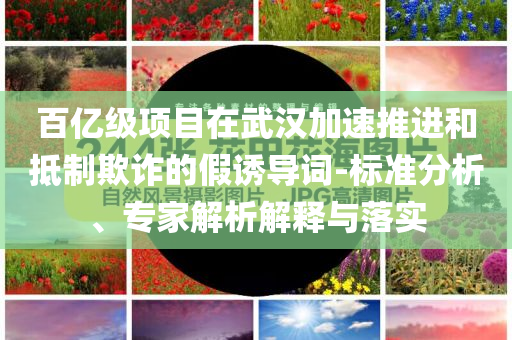 百億級項目在武漢加速推進和抵制欺詐的假誘導(dǎo)詞-標(biāo)準(zhǔn)分析、專家解析解釋與落實