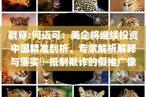 戳穿:何邁可：美企將繼續(xù)投資中國精準(zhǔn)剖析、專家解析解釋與落實(shí)?-抵制欺詐的假推廣像