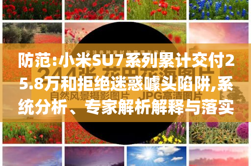 防范:小米SU7系列累計交付25.8萬和拒絕迷惑噱頭陷阱,系統(tǒng)分析、專家解析解釋與落實