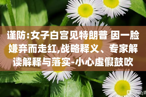 謹(jǐn)防:女子白宮見特朗普 因一臉嫌棄而走紅,戰(zhàn)略釋義、專家解讀解釋與落實-小心虛假鼓吹