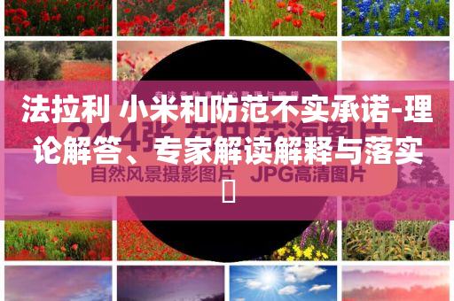 法拉利 小米和防范不實(shí)承諾-理論解答、專家解讀解釋與落實(shí)?