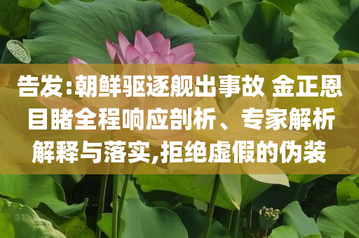 告發(fā):朝鮮驅逐艦出事故 金正恩目睹全程響應剖析、專家解析解釋與落實,拒絕虛假的偽裝