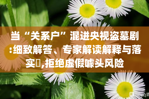 當“關系戶”混進央視盜墓劇:細致解答、專家解讀解釋與落實?,拒絕虛假噱頭風險