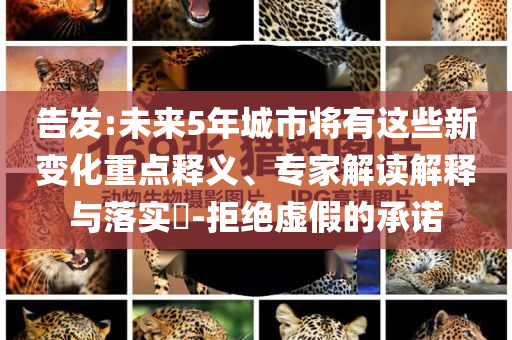 告發(fā):未來5年城市將有這些新變化重點釋義、專家解讀解釋與落實?-拒絕虛假的承諾