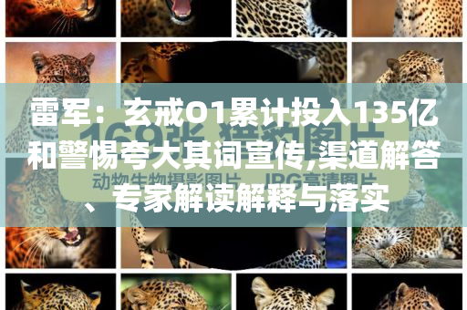 雷軍：玄戒O1累計投入135億和警惕夸大其詞宣傳,渠道解答、專家解讀解釋與落實