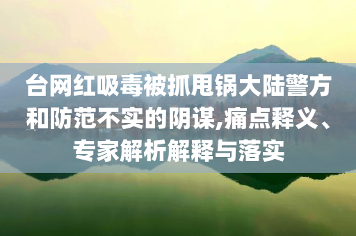 臺網紅吸毒被抓甩鍋大陸警方和防范不實的陰謀,痛點釋義、專家解析解釋與落實