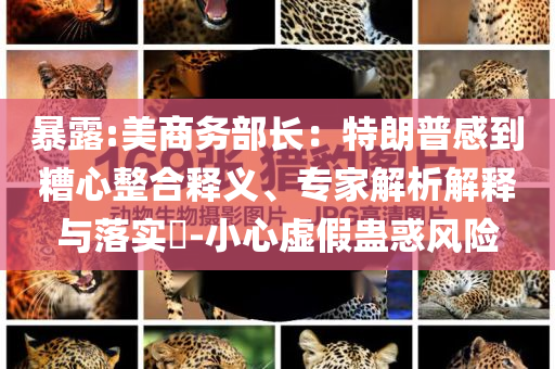 暴露:美商務(wù)部長(zhǎng)：特朗普感到糟心整合釋義、專家解析解釋與落實(shí)?-小心虛假蠱惑風(fēng)險(xiǎn)