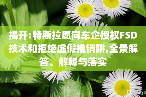 揭開(kāi):特斯拉愿向車企授權(quán)FSD技術(shù)和拒絕虛假推銷阱,全景解答、解釋與落實(shí)