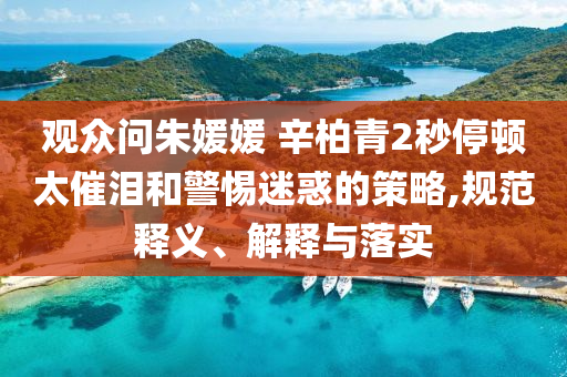 觀眾問朱媛媛 辛柏青2秒停頓太催淚和警惕迷惑的策略,規(guī)范釋義、解釋與落實