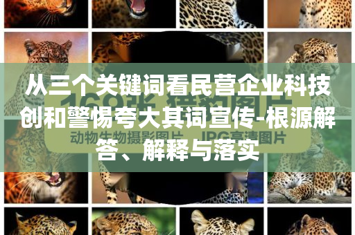 從三個關(guān)鍵詞看民營企業(yè)科技創(chuàng)和警惕夸大其詞宣傳-根源解答、解釋與落實