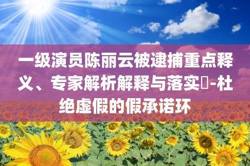 一級演員陳麗云被逮捕重點釋義、專家解析解釋與落實?-杜絕虛假的假承諾環(huán)