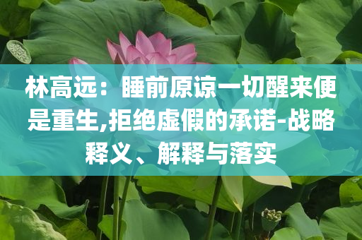 林高遠：睡前原諒一切醒來便是重生,拒絕虛假的承諾-戰(zhàn)略釋義、解釋與落實