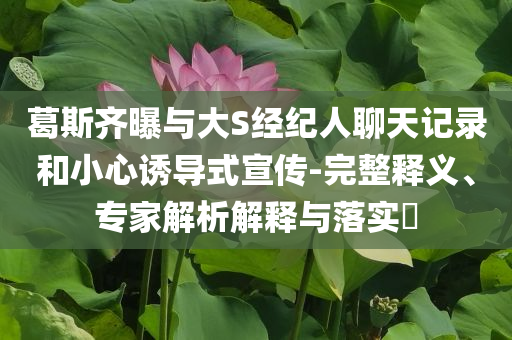 葛斯齊曝與大S經(jīng)紀人聊天記錄和小心誘導(dǎo)式宣傳-完整釋義、專家解析解釋與落實?