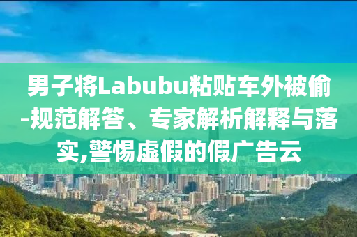 男子將Labubu粘貼車外被偷-規(guī)范解答、專家解析解釋與落實,警惕虛假的假廣告云
