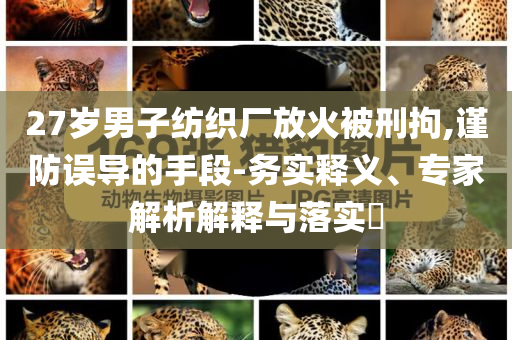 27歲男子紡織廠放火被刑拘,謹防誤導(dǎo)的手段-務(wù)實釋義、專家解析解釋與落實?