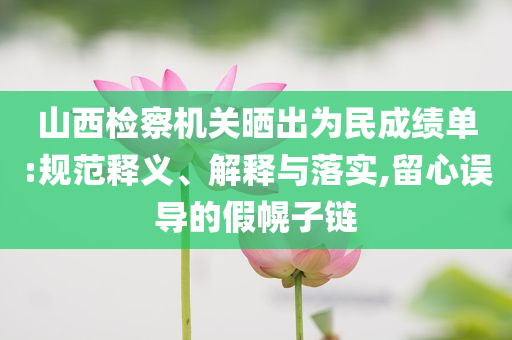 山西檢察機關曬出為民成績單:規(guī)范釋義、解釋與落實,留心誤導的假幌子鏈
