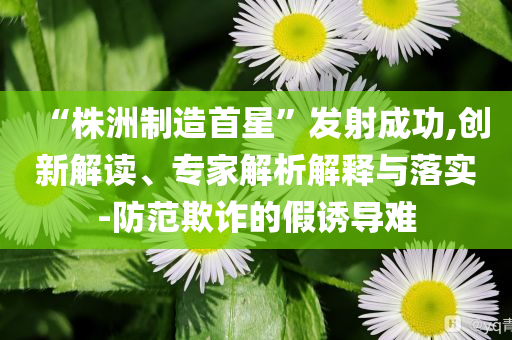 “株洲制造首星”發(fā)射成功,創(chuàng)新解讀、專家解析解釋與落實-防范欺詐的假誘導難