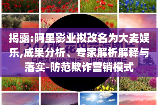 揭露:阿里影業(yè)擬改名為大麥娛樂(lè),成果分析、專(zhuān)家解析解釋與落實(shí)-防范欺詐營(yíng)銷(xiāo)模式