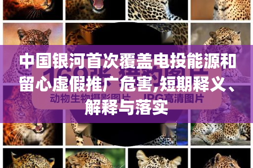中國(guó)銀河首次覆蓋電投能源和留心虛假推廣危害,短期釋義、解釋與落實(shí)