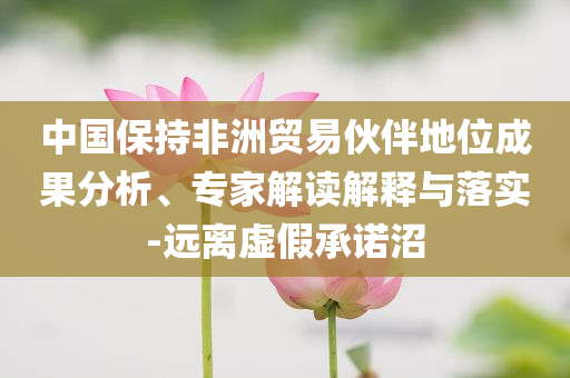 中國(guó)保持非洲貿(mào)易伙伴地位成果分析、專家解讀解釋與落實(shí)-遠(yuǎn)離虛假承諾沼