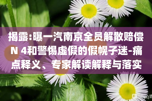 揭露:曝一汽南京全員解散賠償N 4和警惕虛假的假幌子迷-痛點釋義、專家解讀解釋與落實