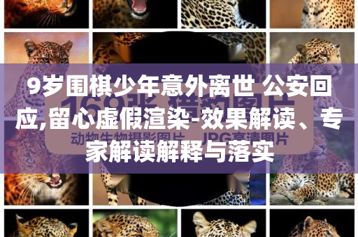 9歲圍棋少年意外離世 公安回應(yīng),留心虛假渲染-效果解讀、專家解讀解釋與落實(shí)