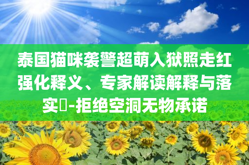 泰國貓咪襲警超萌入獄照走紅強(qiáng)化釋義、專家解讀解釋與落實(shí)?-拒絕空洞無物承諾