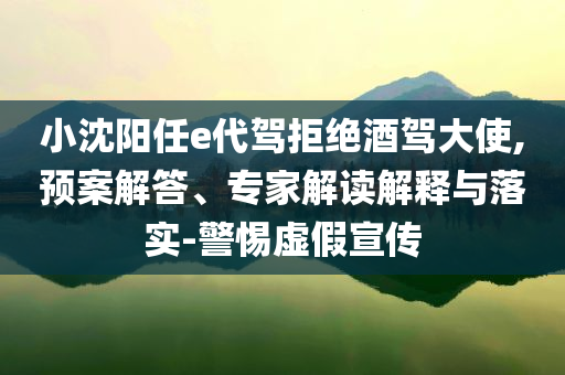小沈陽任e代駕拒絕酒駕大使,預(yù)案解答、專家解讀解釋與落實(shí)-警惕虛假宣傳