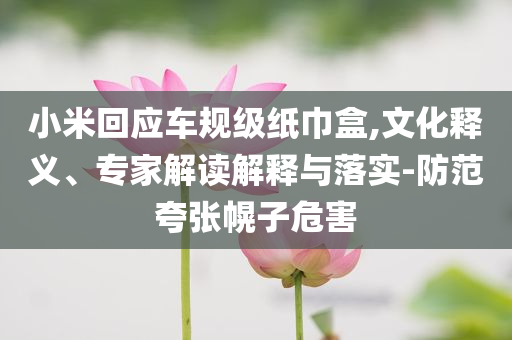 小米回應(yīng)車規(guī)級(jí)紙巾盒,文化釋義、專家解讀解釋與落實(shí)-防范夸張幌子危害