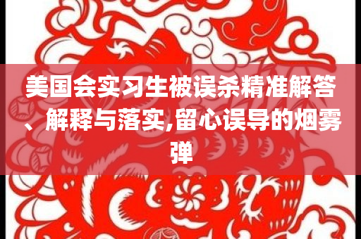 美國(guó)會(huì)實(shí)習(xí)生被誤殺精準(zhǔn)解答、解釋與落實(shí),留心誤導(dǎo)的煙霧彈