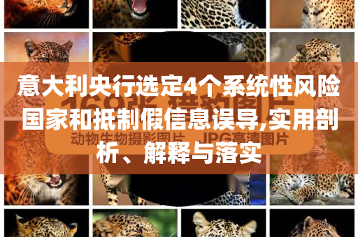 意大利央行選定4個(gè)系統(tǒng)性風(fēng)險(xiǎn)國家和抵制假信息誤導(dǎo),實(shí)用剖析、解釋與落實(shí)