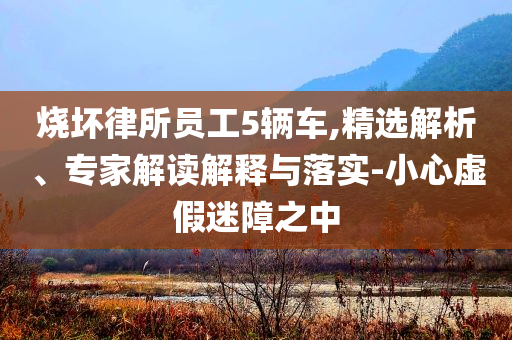 燒壞律所員工5輛車,精選解析、專家解讀解釋與落實-小心虛假迷障之中